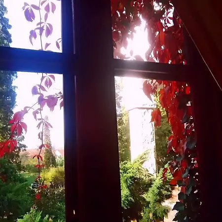 Castelul Maria Guest house 4*