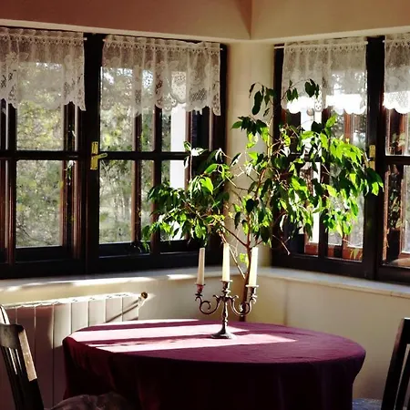 Guest house Castelul Maria Banpotoc